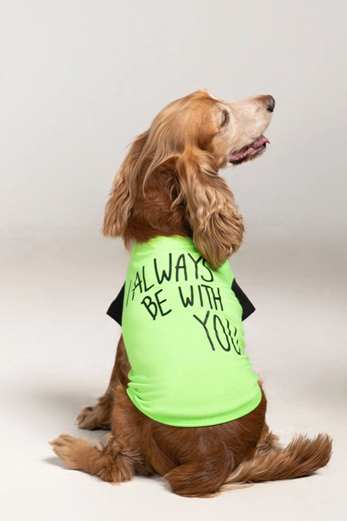 Köpek Yazlık T-shirt – I always be with you Köpek Yazlık T-shirt - I always be with you