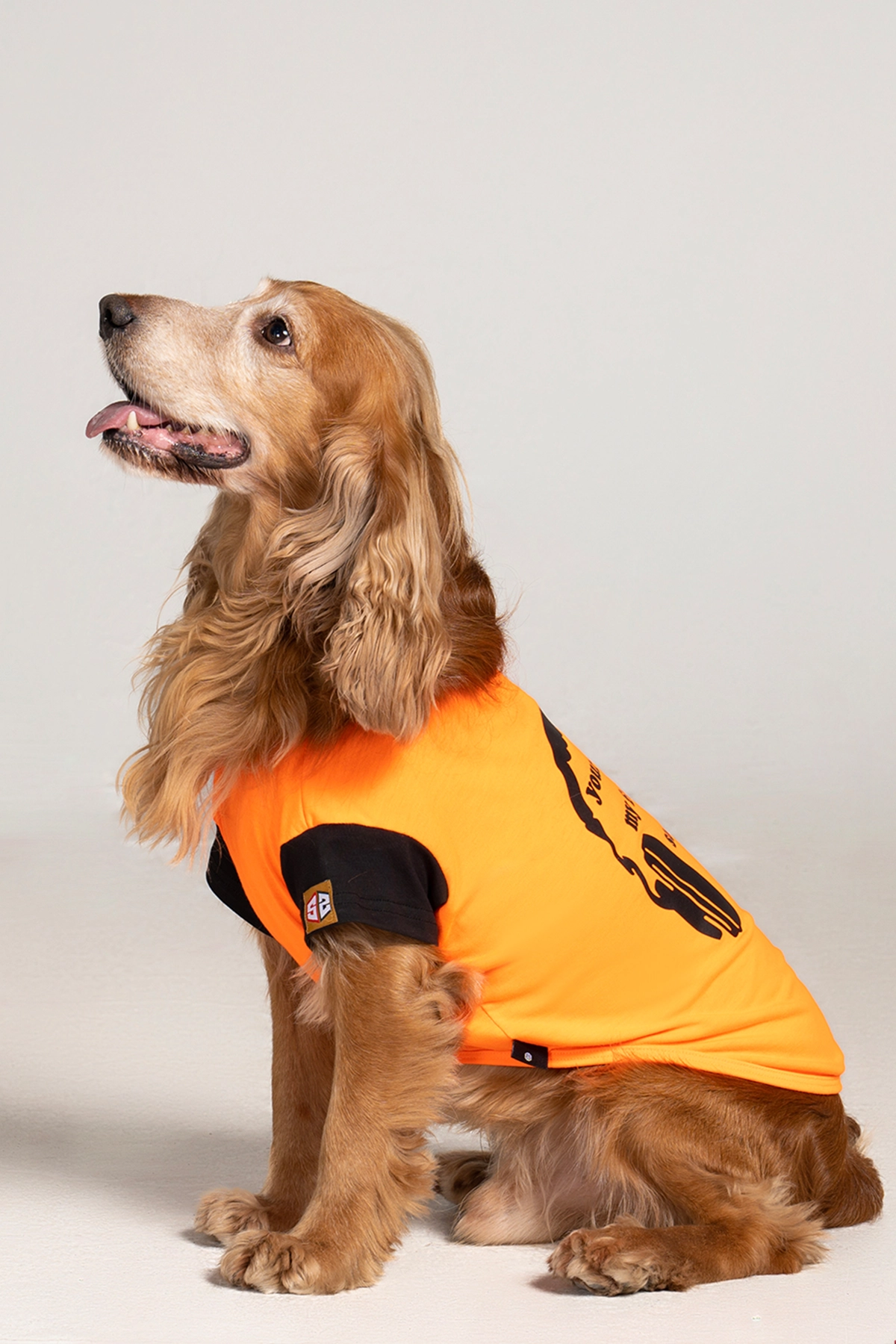 Köpek Yazlık T-shirt – Sound Köpek Yazlık T-shirt - Sound