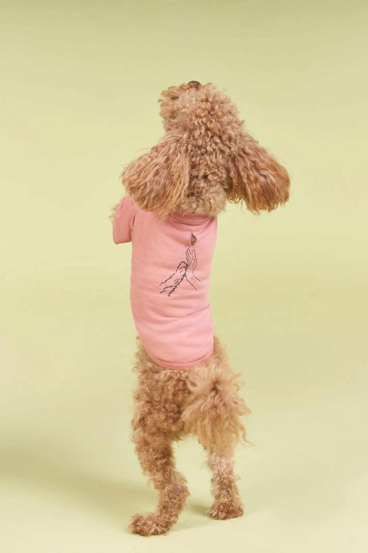 Köpek kıyafeti, Köpek Yazlık T-shirt Pou Hands Hands Mercan Köpek T-shirt