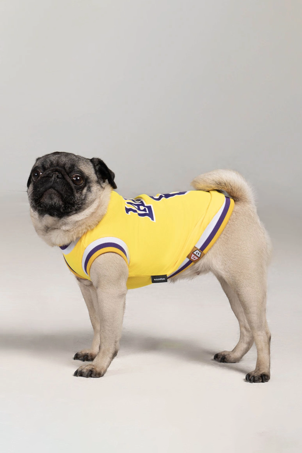 Yazlık Köpek Basketbol Forması, Küçük ırk köpek kıyafeti Yazlık Köpek Basketbol Forması, Küçük ırk köpek kıyafeti