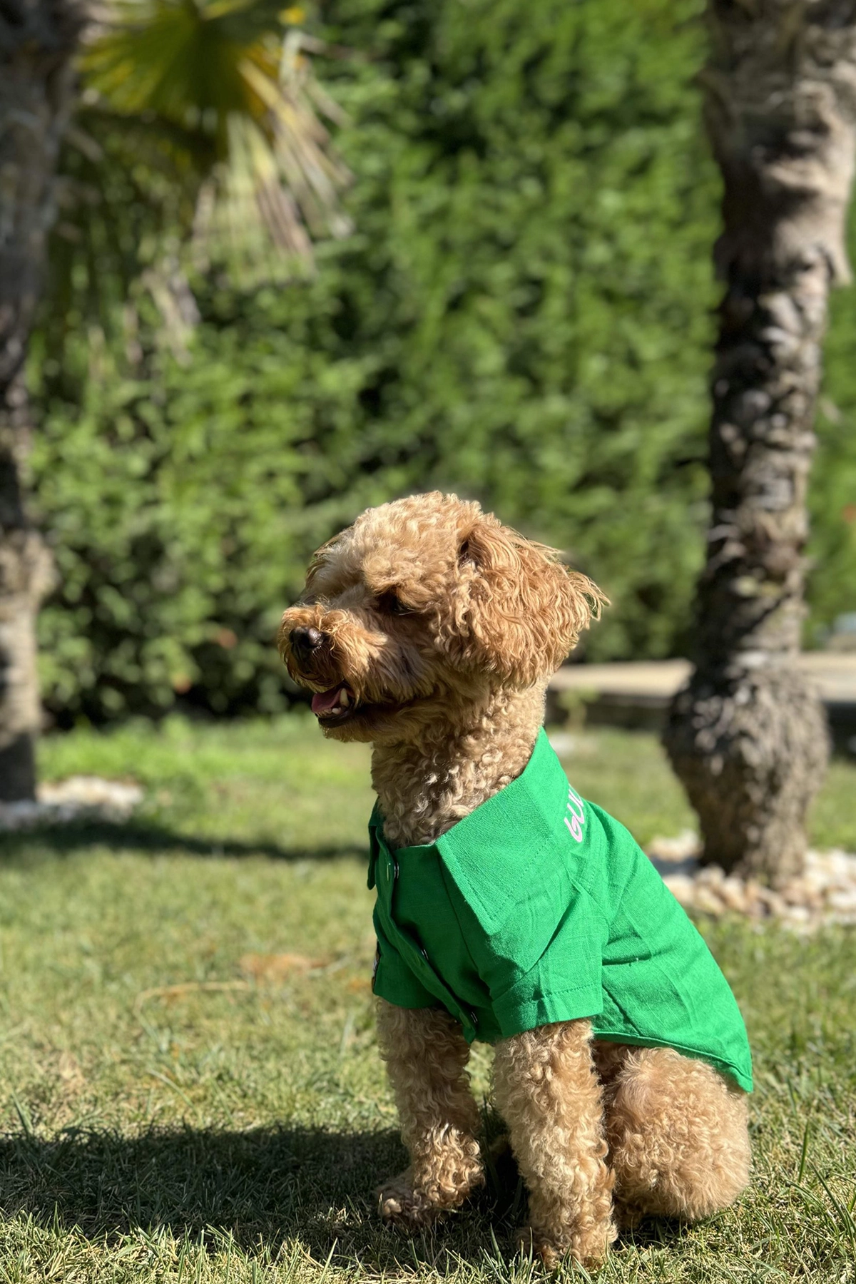 Yazlık Köpek Gömleği Good Vibes Yazlık Köpek Gömleği Good Vibes