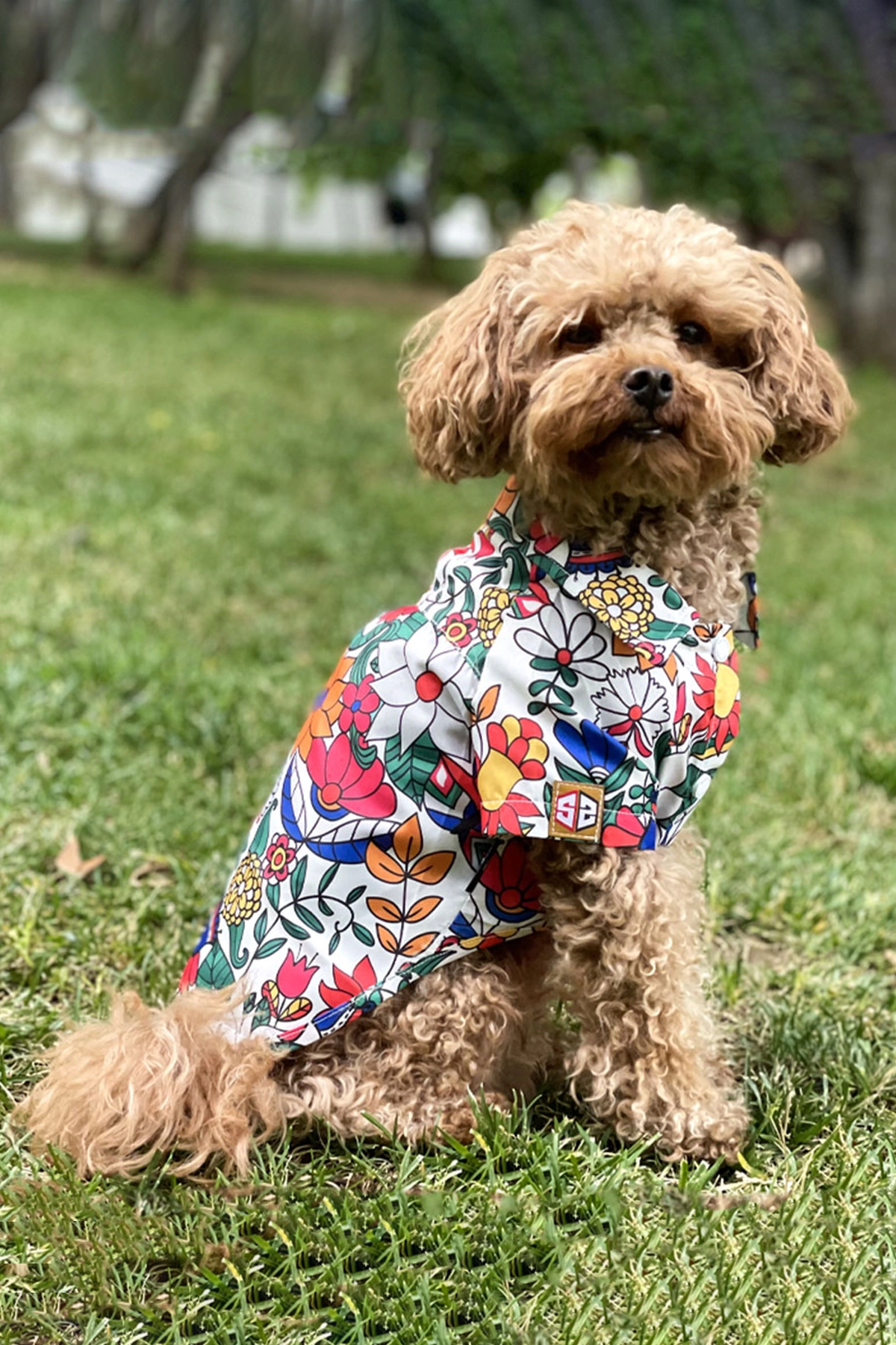 Yazlık Köpek Gömleği Hawaii Yazlık Köpek Gömleği Hawaii