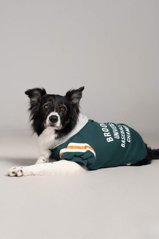 salya store küçük orta ve büyük ırk köpek kıyafeti