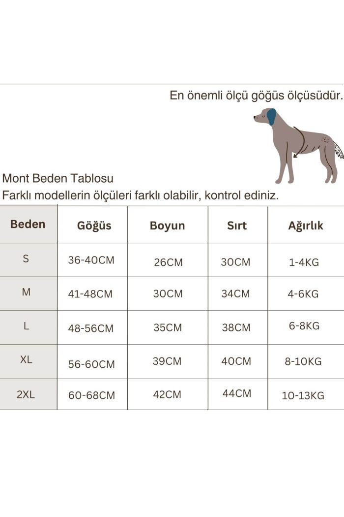 Mont Beden Tablosu