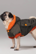 Peluş Astarlı Küçük Irk Köpek Montu Haki