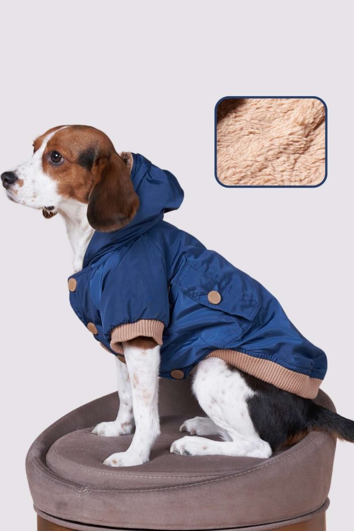 su geçirmez lacivert köpek mont, Köpek kıyafeti, Küçük ırk köpek