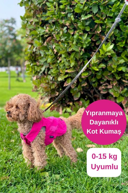 Ana Sayfa 19 Fuşya köpek kıyafeti