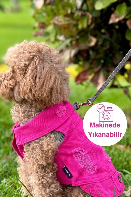 Yazlık köpek kıyafeti