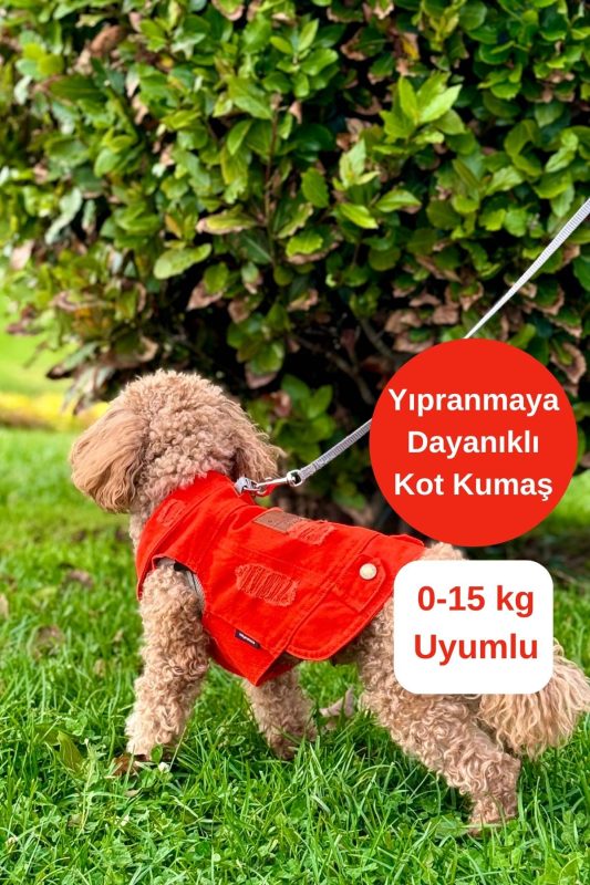 Ana Sayfa 11 Turuncu köpek kıyafeti
