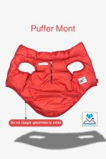 Küçük ve Orta Irk Kırmızı Puffer Köpek Montu
